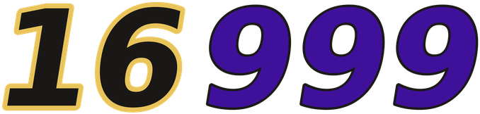 16999 logo